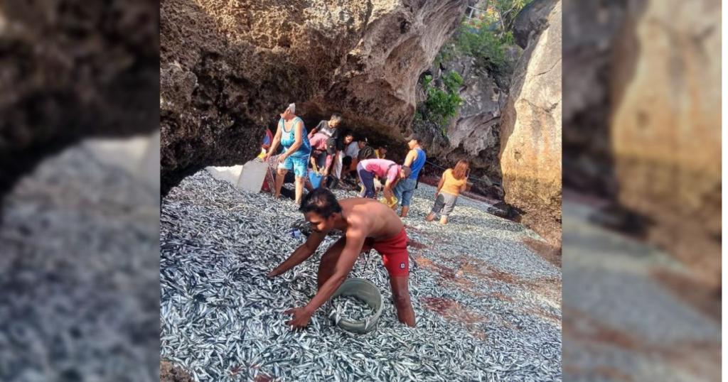 fenmeno-bizarro-espalha-peixes-por-praias-das-filipinas