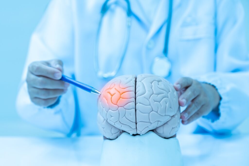 Estudo revela efeitos do jejum intermitente no crebro e no intestino estudo-revela-efeitos-do-jejum-intermitente-no-crebro-e-no-intestino