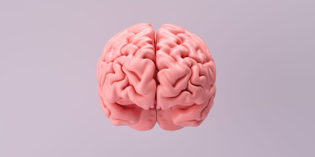 Existe um alimento que prejudica o seu crebro: nutricionista revela vilo n 1 existe-um-alimento-que-prejudica-o-seu-crebro:-nutricionista-revela-vilo-n-1