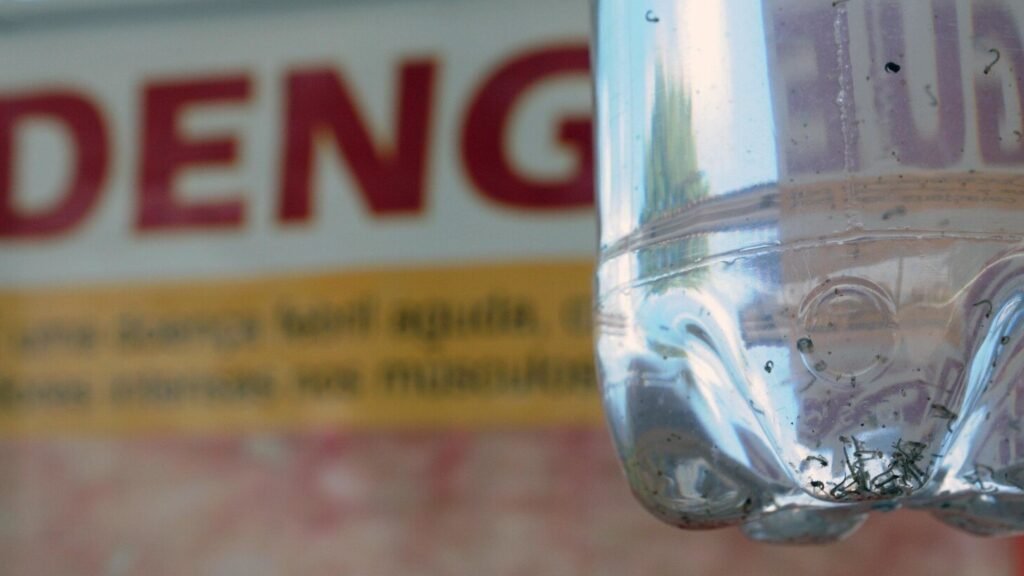 df-registra-34-casos-provveis-de-dengue-por-hora-desde-o-comeo-do-ano