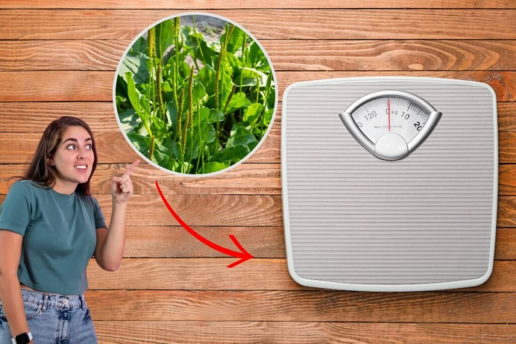 tanchagem-emagrece-mesmo?-descubra-os-reais-efeitos-do-ch