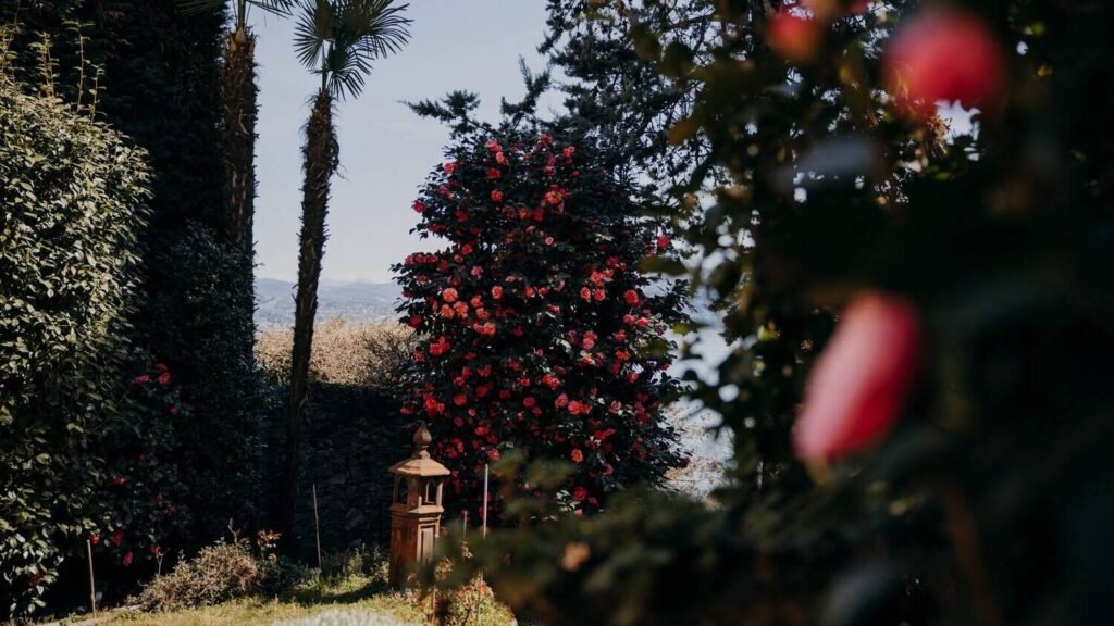Para atrair mais turistas, cidade italiana aposta em plantas que florescem at no inverno para-atrair-mais-turistas,-cidade-italiana-aposta-em-plantas-que-florescem-at-no-inverno