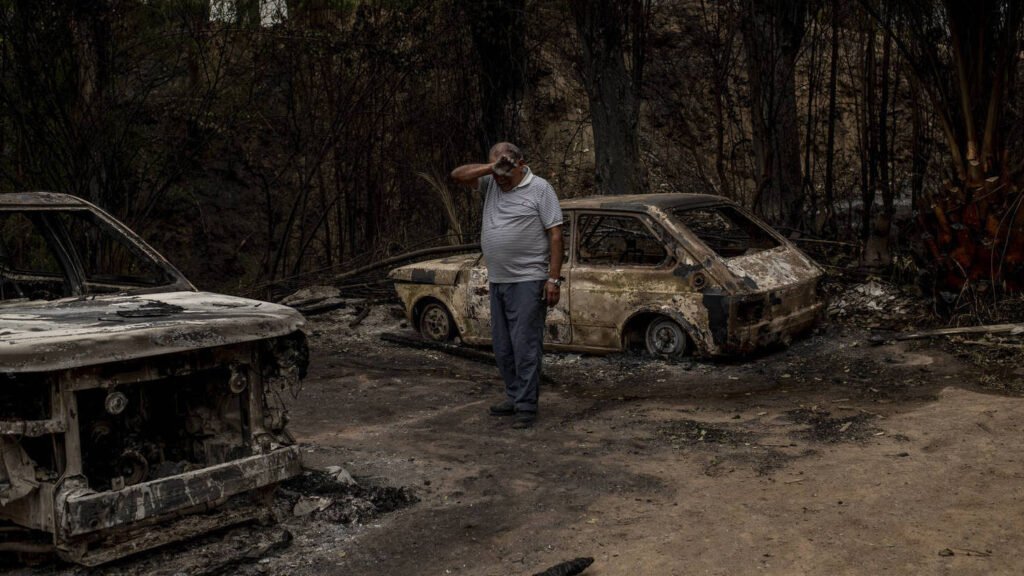 Em meio aos incndios destruidores no Chile, visitantes escapam da morte em jardim botnico em-meio-aos-incndios-destruidores-no-chile,-visitantes-escapam-da-morte-em-jardim-botnico