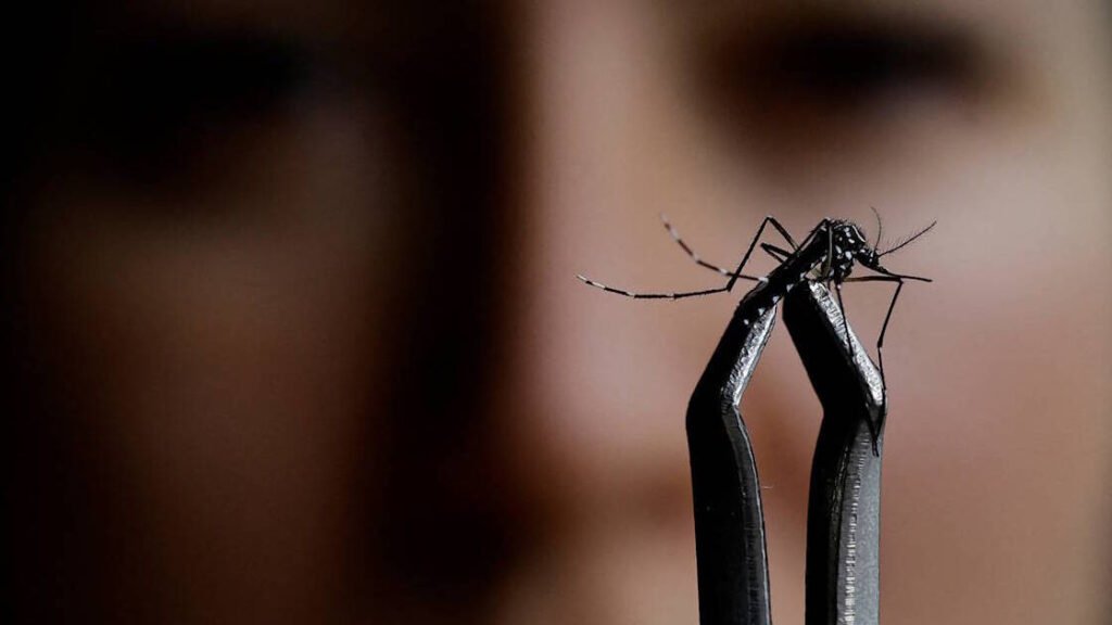 saiba-como-diferenciar-os-sintomas-da-dengue-e-da-gripe