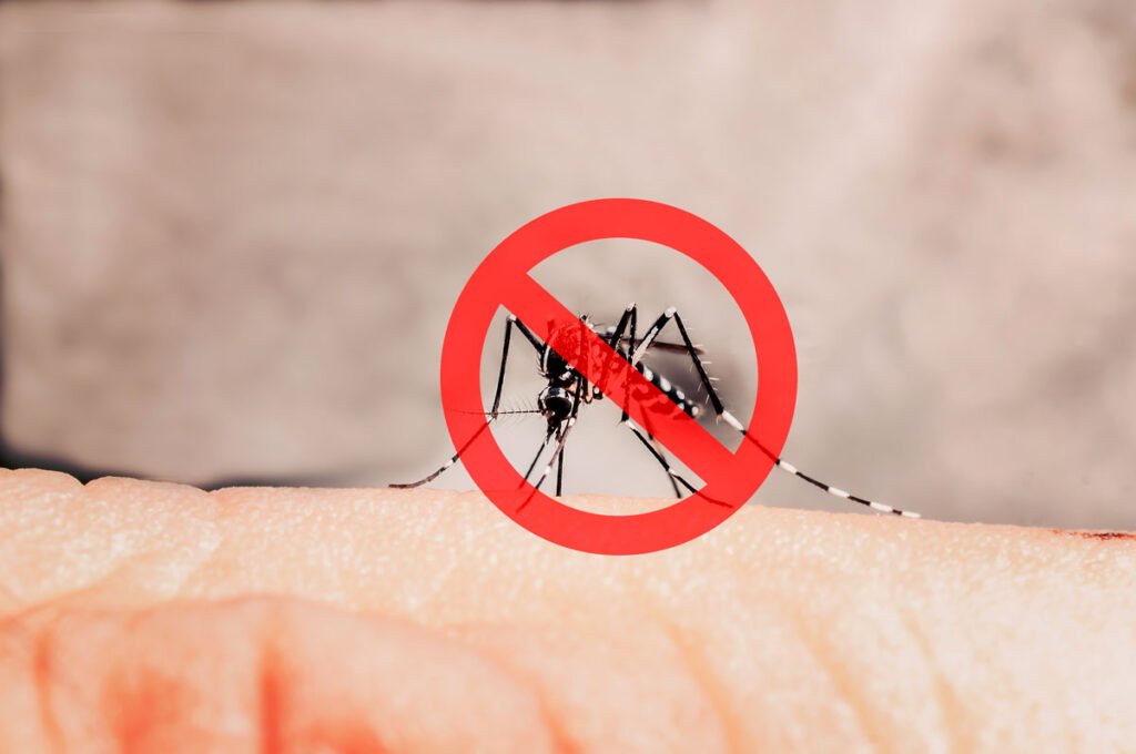 No  qualquer repelente! Saiba qual  o IDEAL para afastar o mosquito da dengue no-qualquer-repelente!-saiba-qual-o-ideal-para-afastar-o-mosquito-da-dengue
