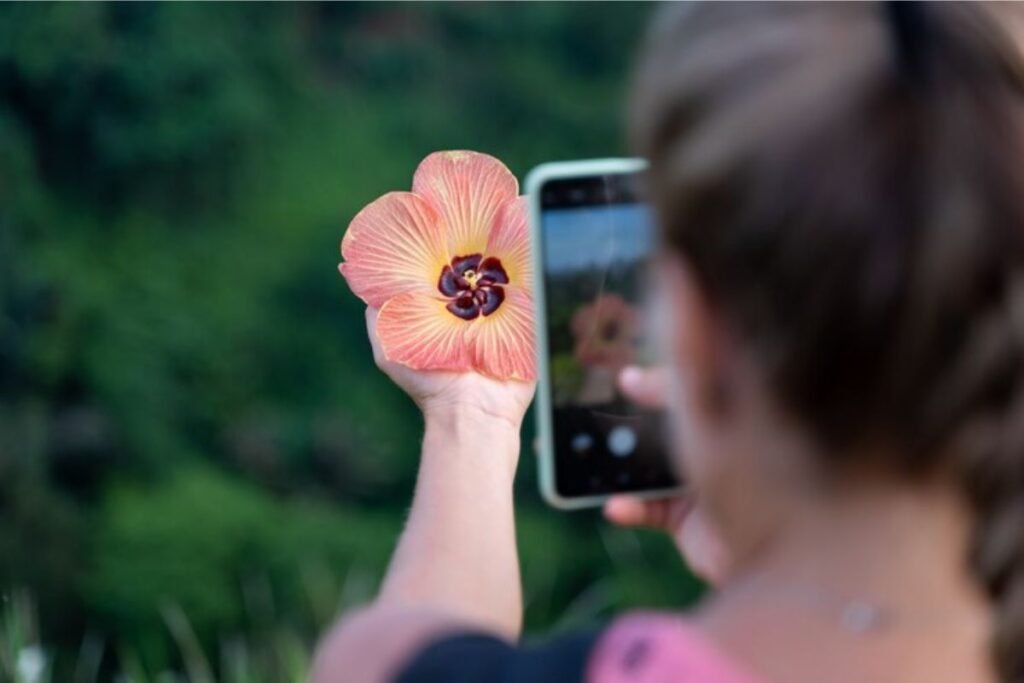 Celulares de at R$ 2.500 em 2024 com as Melhores Cmeras celulares-de-at-r$-2.500-em-2024-com-as-melhores-cmeras