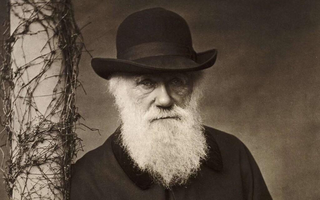 Darwin: 100% da biblioteca do cientista est disponvel na internet darwin:-100%-da-biblioteca-do-cientista-est-disponvel-na-internet