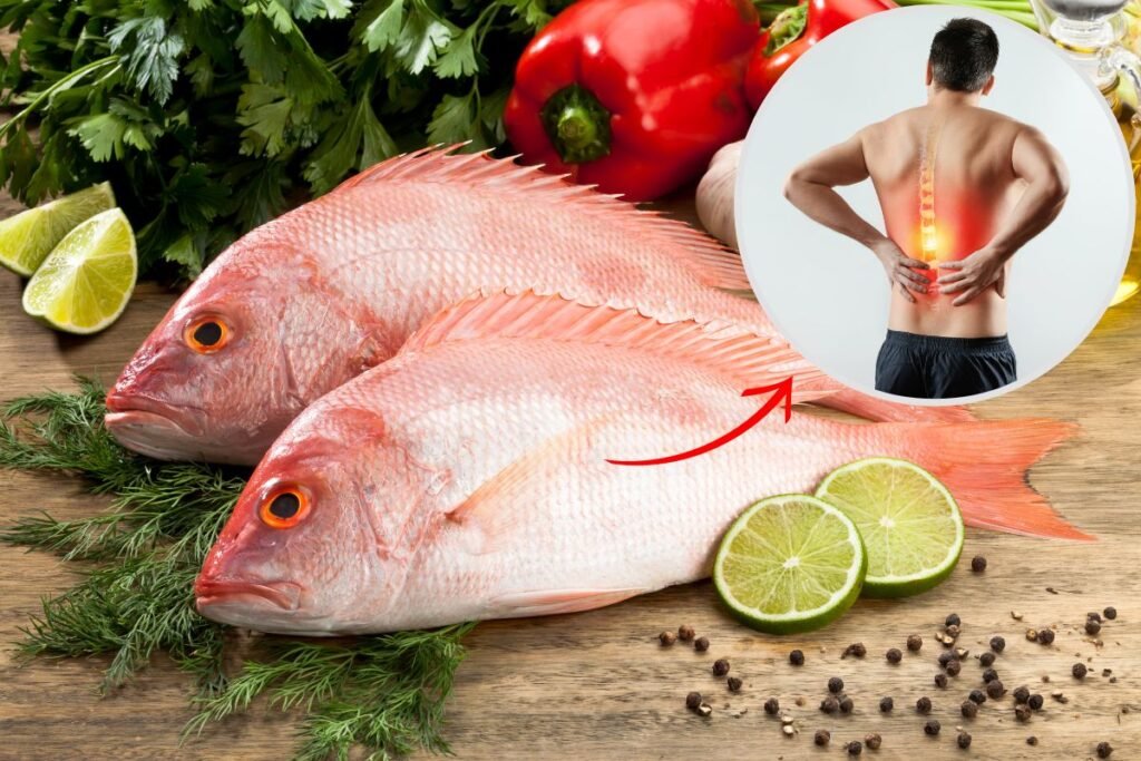 peixe-pargo-remoso?-ser-que-ele-piora-a-inflamao?-descubra-agora!