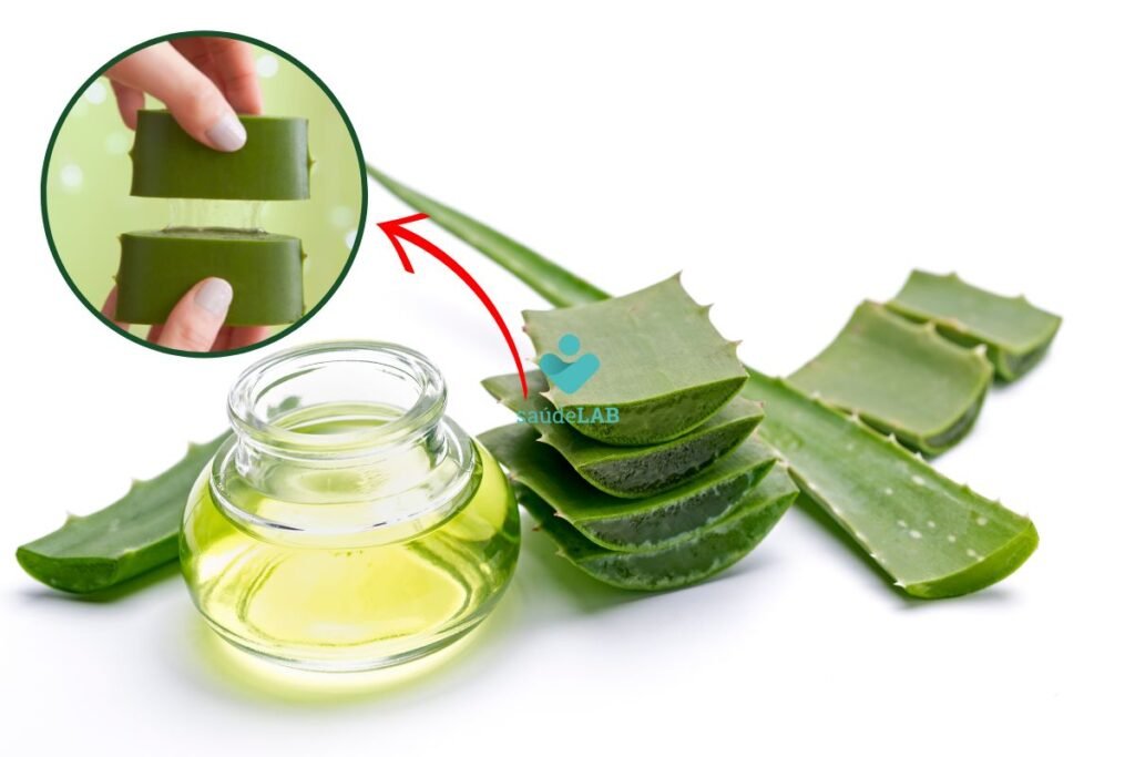 como-tirar-alona-da-babosa:-aproveite-os-benefcios-sem-os-riscos