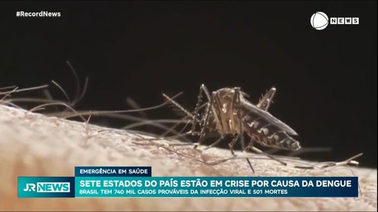 Sete estados do Brasil esto em crise devido dengue sete-estados-do-brasil-esto-em-crise-devido-dengue
