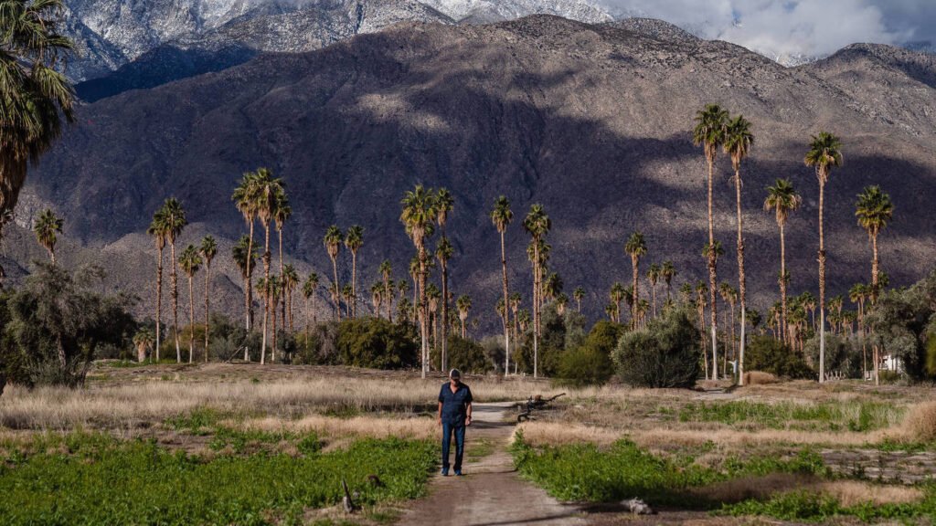 imagens-impressionantes-mostram-campos-de-golfe-novamente-tomados-pela-natureza