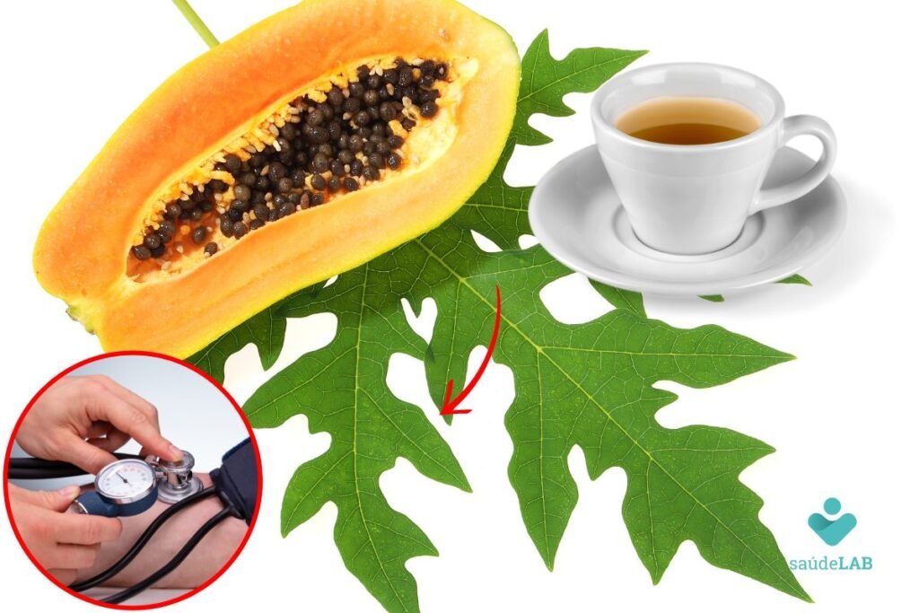 ch-de-folha-de-mamo-bom-para-presso-alta?-saiba-como-evitar-problemas