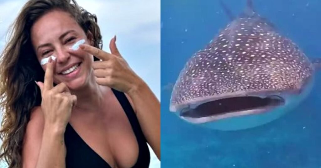Vdeo: Paolla Oliveira d de cara com tubaro durante mergulho vdeo:-paolla-oliveira-d-de-cara-com-tubaro-durante-mergulho