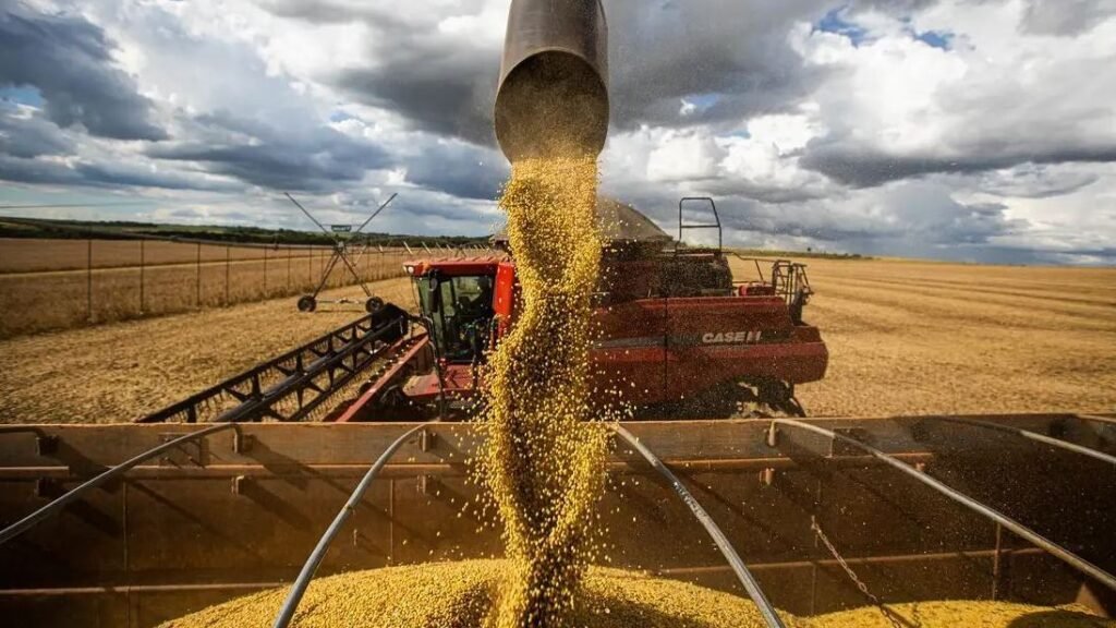 PIB do Brasil fecha 2023 com alta de 2,9% puxado por resultado recorde da agropecuria pib-do-brasil-fecha-2023-com-alta-de-2,9%-puxado-por-resultado-recorde-da-agropecuria