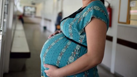 Com 5.151 casos em seis semanas, nmero de gestantes com dengue aumenta 345% em 2024 com-5.151-casos-em-seis-semanas,-nmero-de-gestantes-com-dengue-aumenta-345%-em-2024