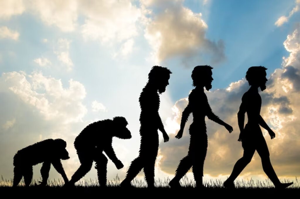 Voc sabia que os seres humanos j tiveram cauda? voc-sabia-que-os-seres-humanos-j-tiveram-cauda?