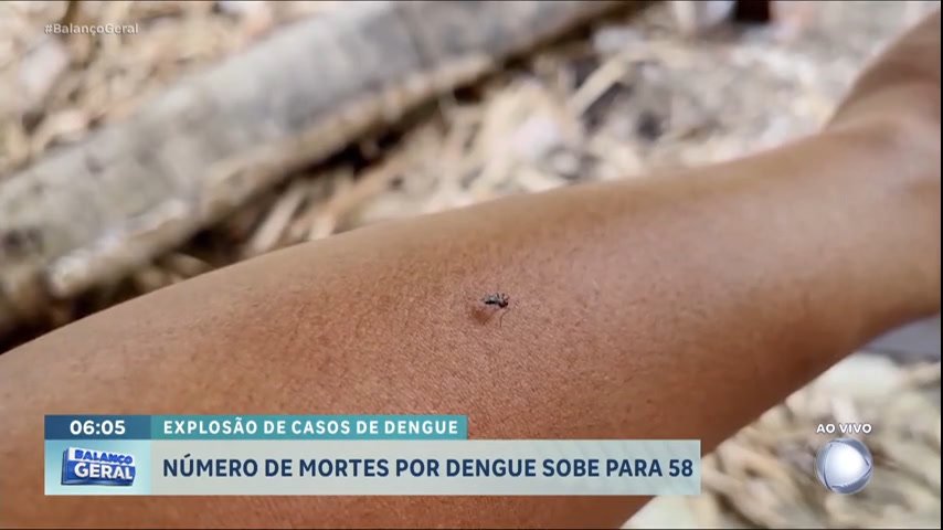 Sobe para 58 o nmero de mortes por dengue em SP sobe-para-58-o-nmero-de-mortes-por-dengue-em-sp