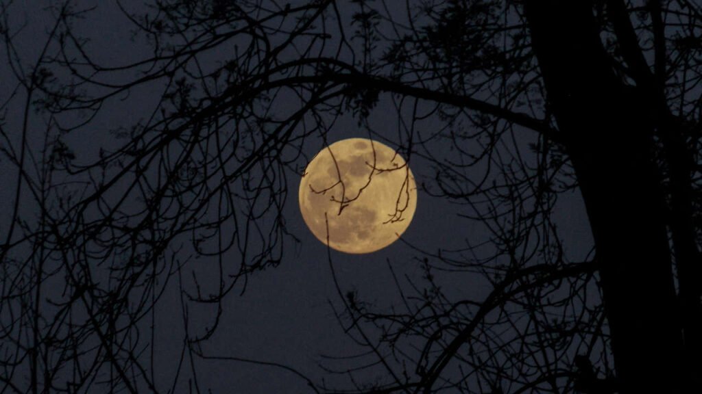 Como tirar foto da lua com celular Galaxy S23: Tutorial como-tirar-foto-da-lua-com-celular-galaxy-s23:-tutorial