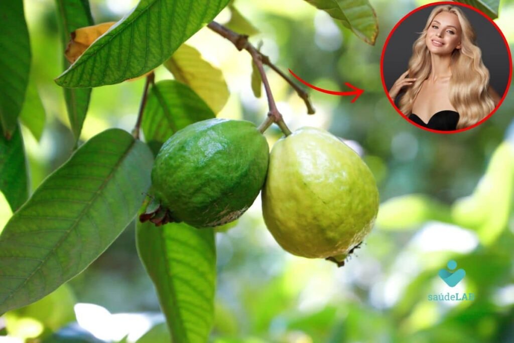 Ch de folha de goiaba para cabelo: truque natural para fios saudveis ch-de-folha-de-goiaba-para-cabelo:-truque-natural-para-fios-saudveis