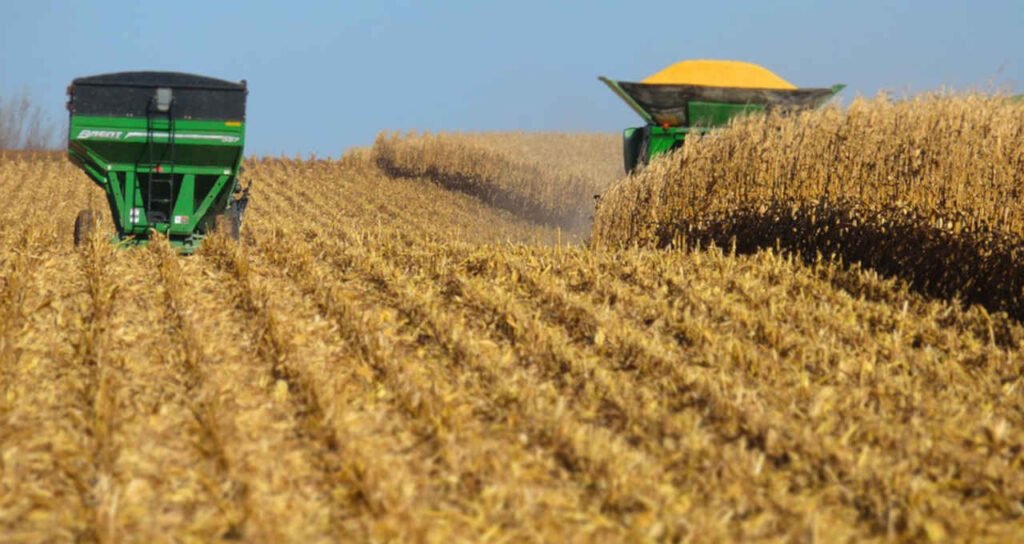 pib-do-agronegcio-cai-2,99%-em-2023;-saiba-o-motivo