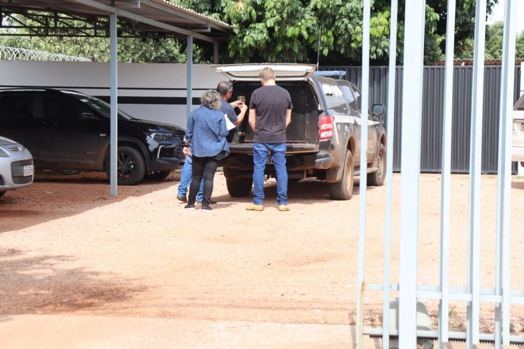 Acusado de tentativa de homicídio se entrega à polícia em Querência