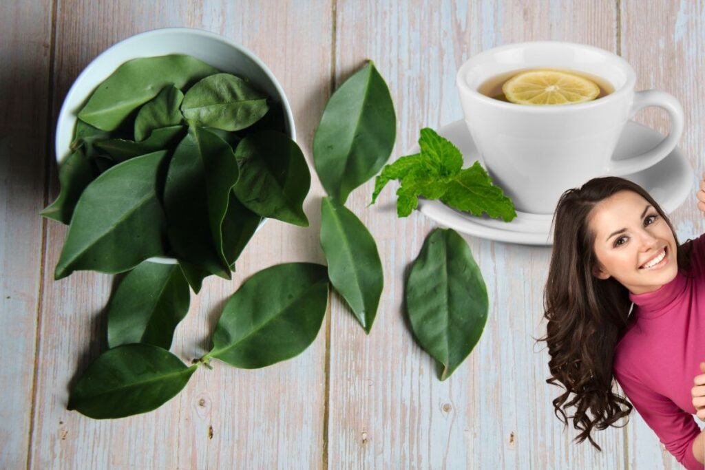 ch-de-ora-pro-nbis:-benefcios,-emagrecimento-e-receitas