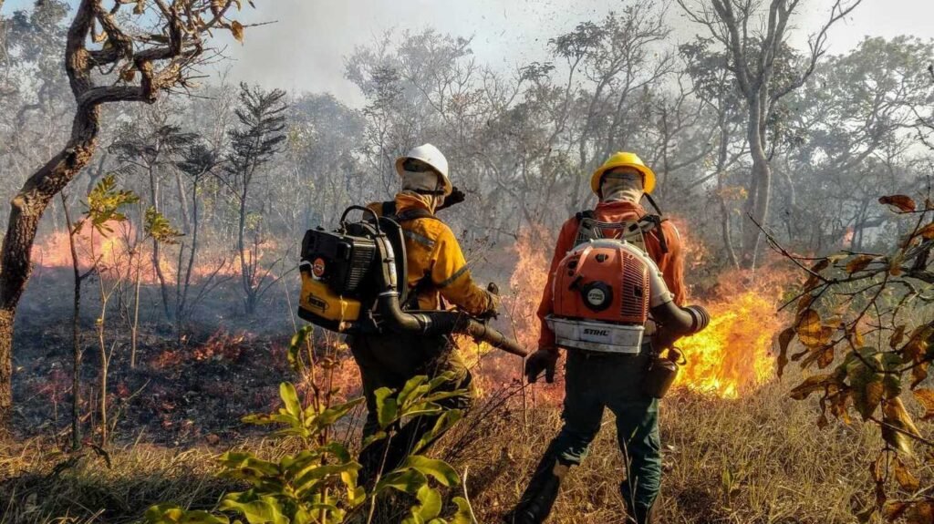 cobertura-florestal-mundial-perde-3,7-milhes-de-hectares-em-2023