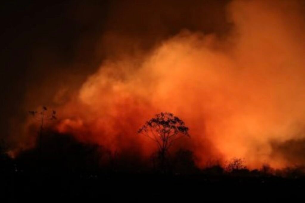 Mato Grosso sanciona nova lei de proteção ao Pantanal