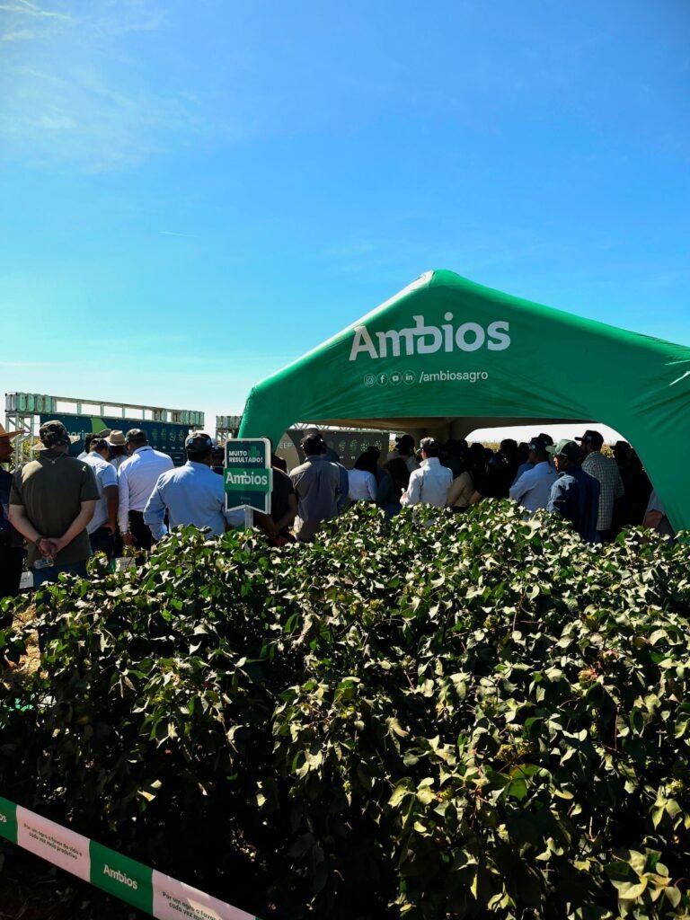UFMT aposta em parcerias para impulsionar a nanotecnologia no campo