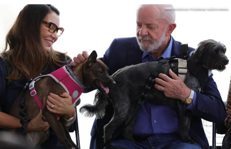 Lula sanciona lei que cria a campanha Julho Dourado para promoção da saúde animal