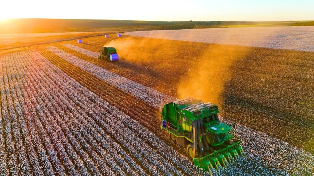 Natter amplia quadro de colaboradores e abre novas vagas de emprego em Mato Grosso