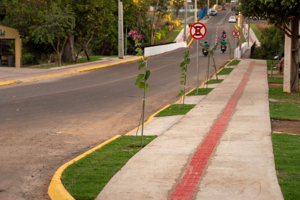 Arborização contribui para uma cidade mais equilibrada e melhor qualidade de vida da população