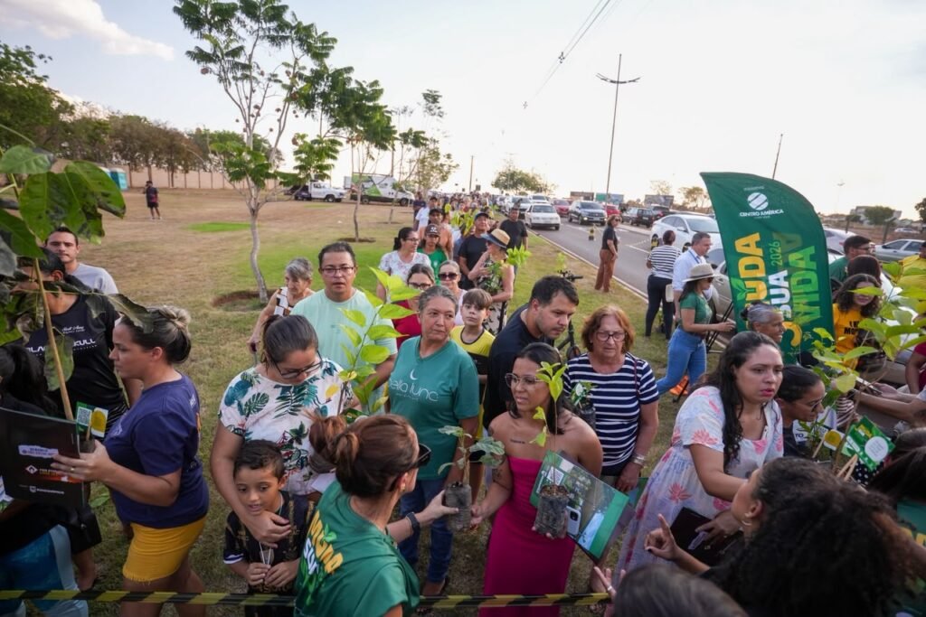 Com apoio da Prefeitura, seis mil mudas de árvores são doadas aos moradores