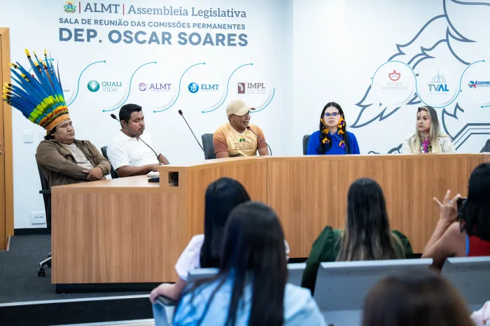 Câmara Temática da ALMT amplia debate sobre direitos e desafios dos povos indígenas de MT