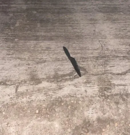 Polícia Militar prende mulher em flagrante suspeita por tentativa de homicídio