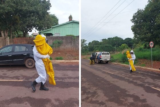 Avó leva mais de 50 ferroadas ao enfrentar enxame de abelhas para salvar netos em MT